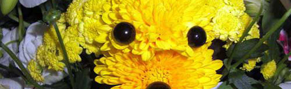 江別 花屋 花のみやじま